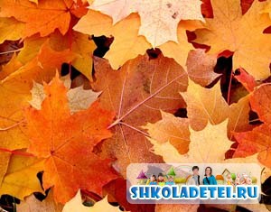 Осенние стихи для детей. Осенние листья