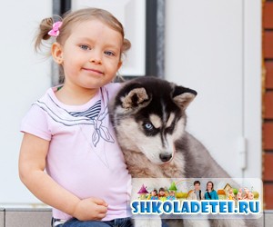 Породы собак для детей: выбираем правильно