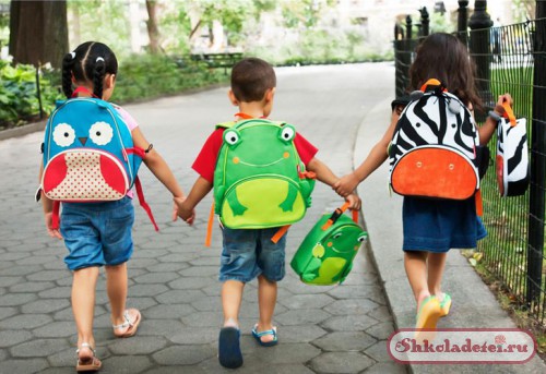 Правильный школьный рюкзак: секреты удачной покупки
